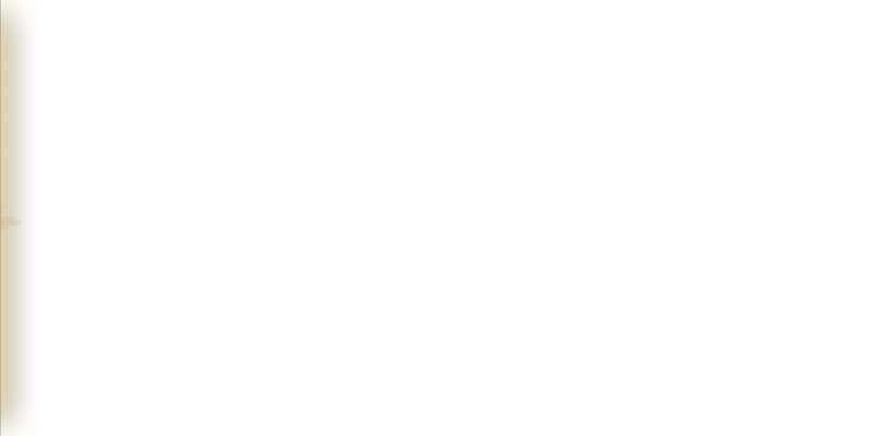 TEROR303 logo